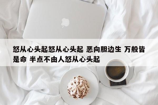 怒从心头起怒从心头起 恶向胆边生 万般皆是命 半点不由人怒从心头起